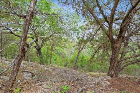 7201 Getaway Drive Jonestown TX 78645