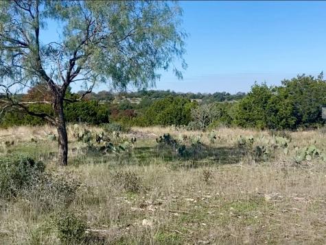 00000 River Shoals Drive Kempner TX 76539