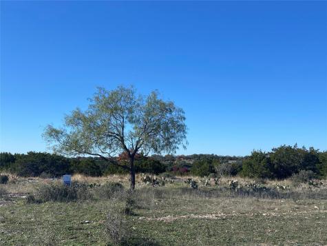 00000 River Shoals Drive Kempner TX 76539