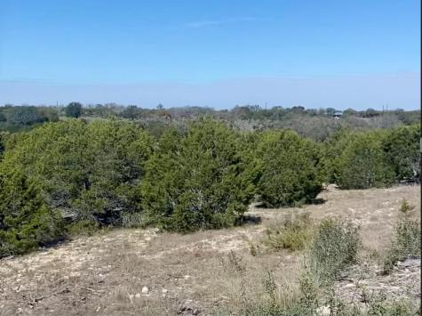 00000 River Shoals Drive Kempner TX 76539
