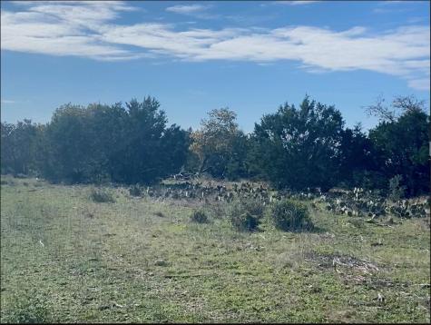 00000 River Shoals Drive Kempner TX 76539