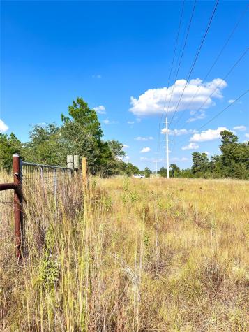 Tbd Ponderosa Loop Paige TX 78659