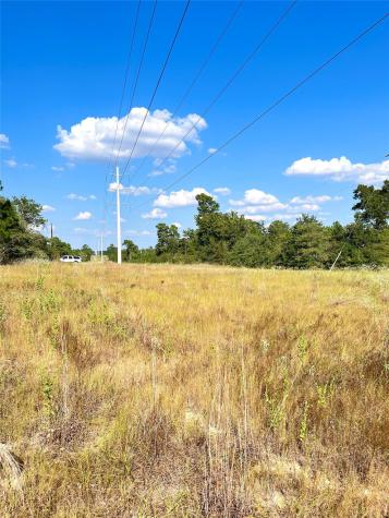 Tbd Ponderosa Loop Paige TX 78659