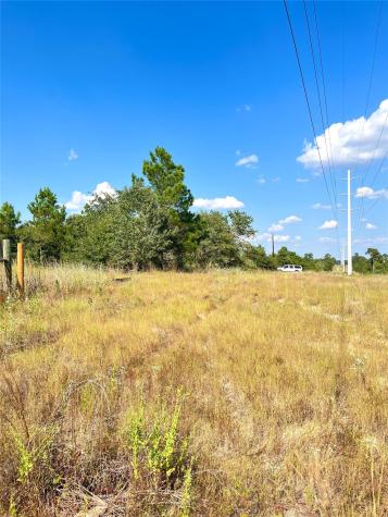Tbd Ponderosa Loop Paige TX 78659