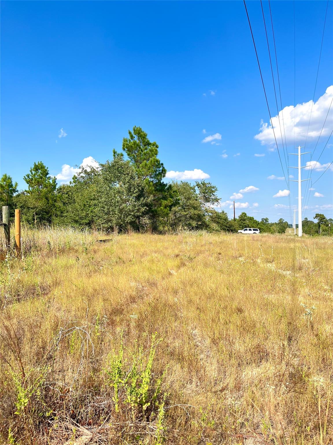 Tbd Ponderosa Loop Paige TX 78659