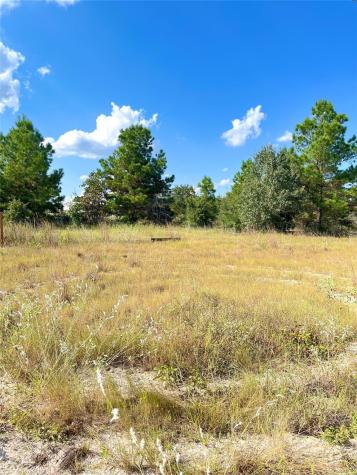 Tbd Ponderosa Loop Paige TX 78659