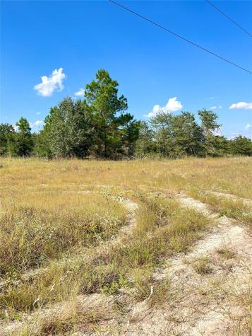 Tbd Ponderosa Loop Paige TX 78659
