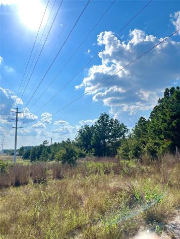 Tbd Ponderosa Loop Paige TX 78659