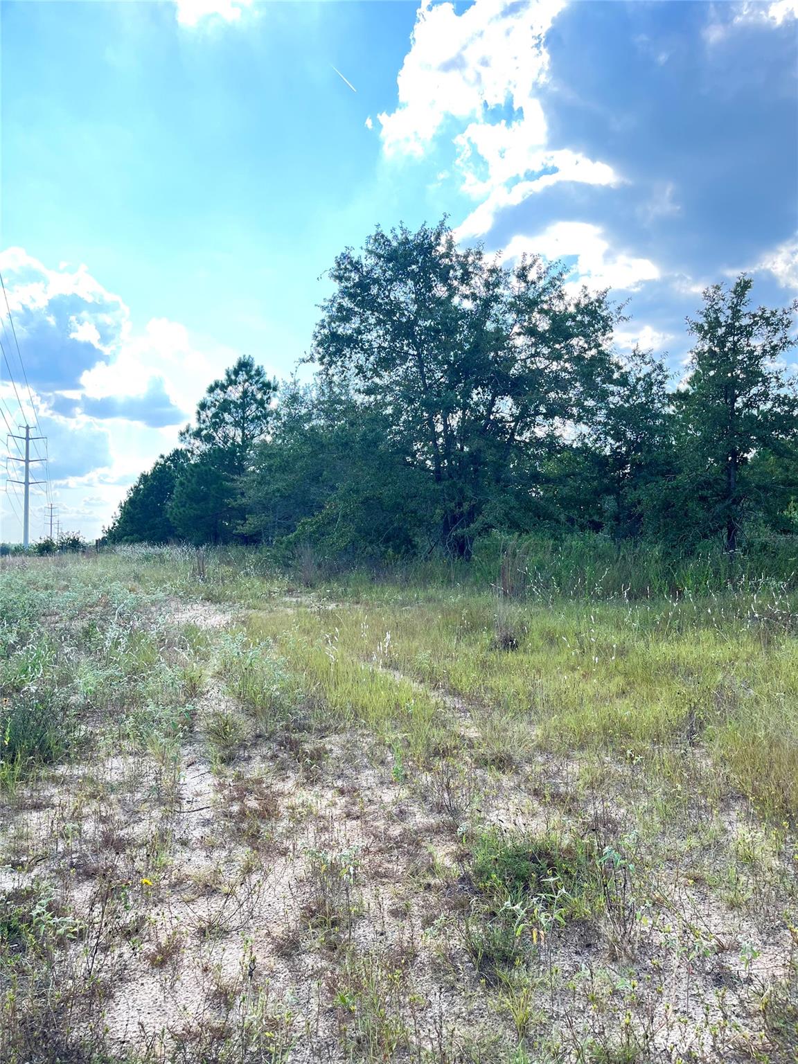 Tbd Ponderosa Loop Paige TX 78659