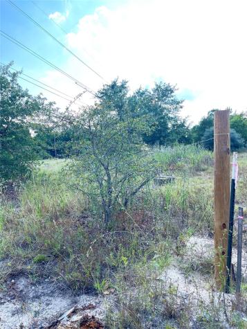 Tbd Ponderosa Loop Paige TX 78659