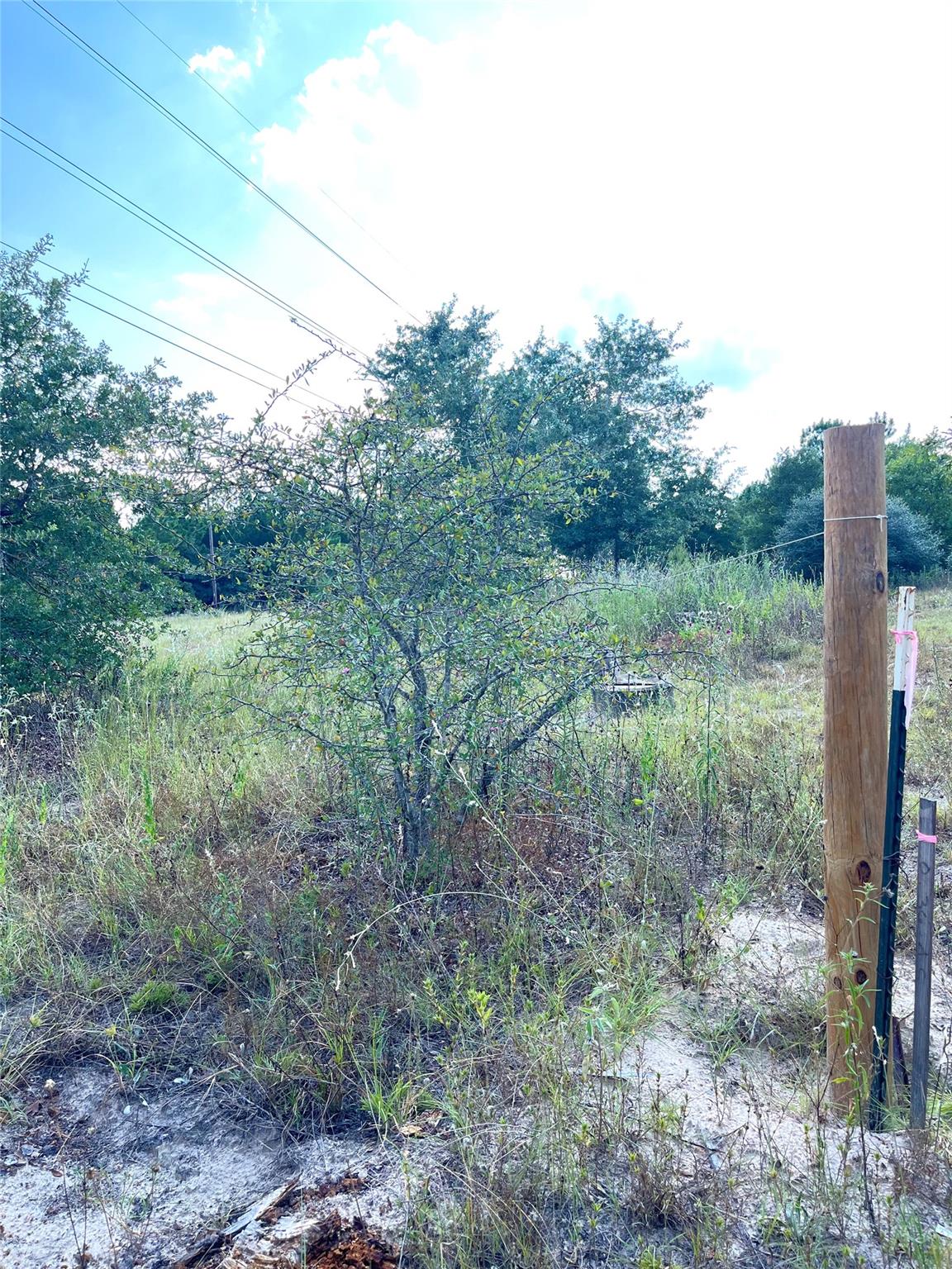 Tbd Ponderosa Loop Paige TX 78659