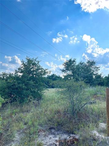 Tbd Ponderosa Loop Paige TX 78659