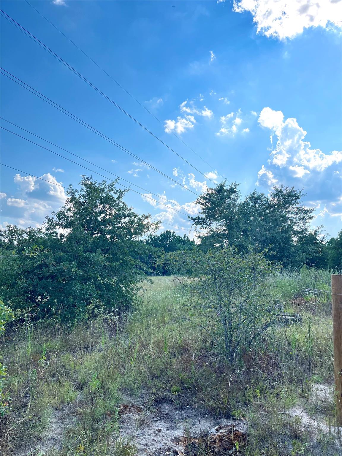 Tbd Ponderosa Loop Paige TX 78659