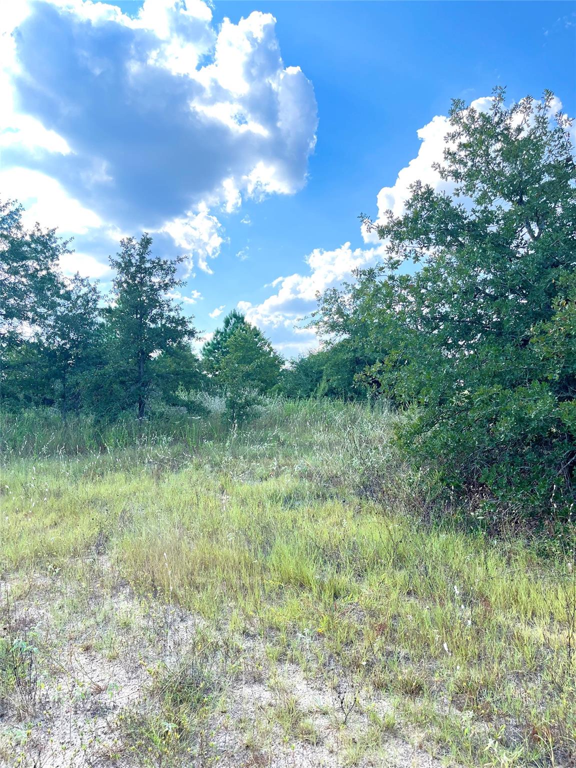Tbd Ponderosa Loop Paige TX 78659