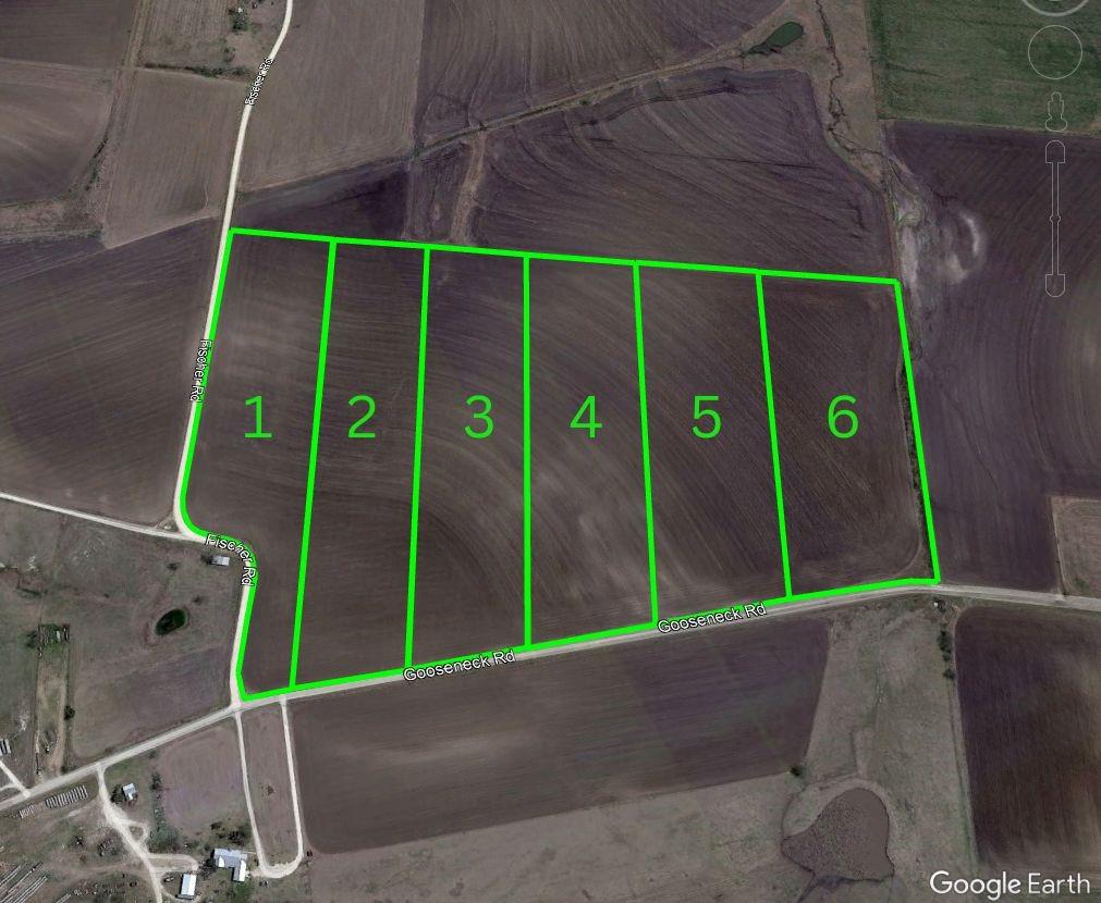 Tbd Gooseneck Road Bartlett TX 76511