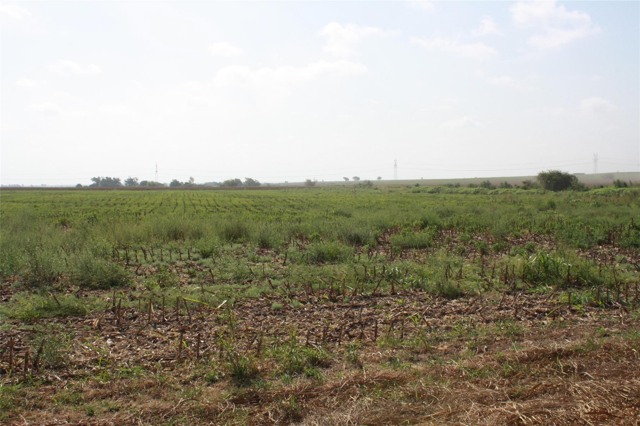 Tbd Gooseneck Road Bartlett TX 76511