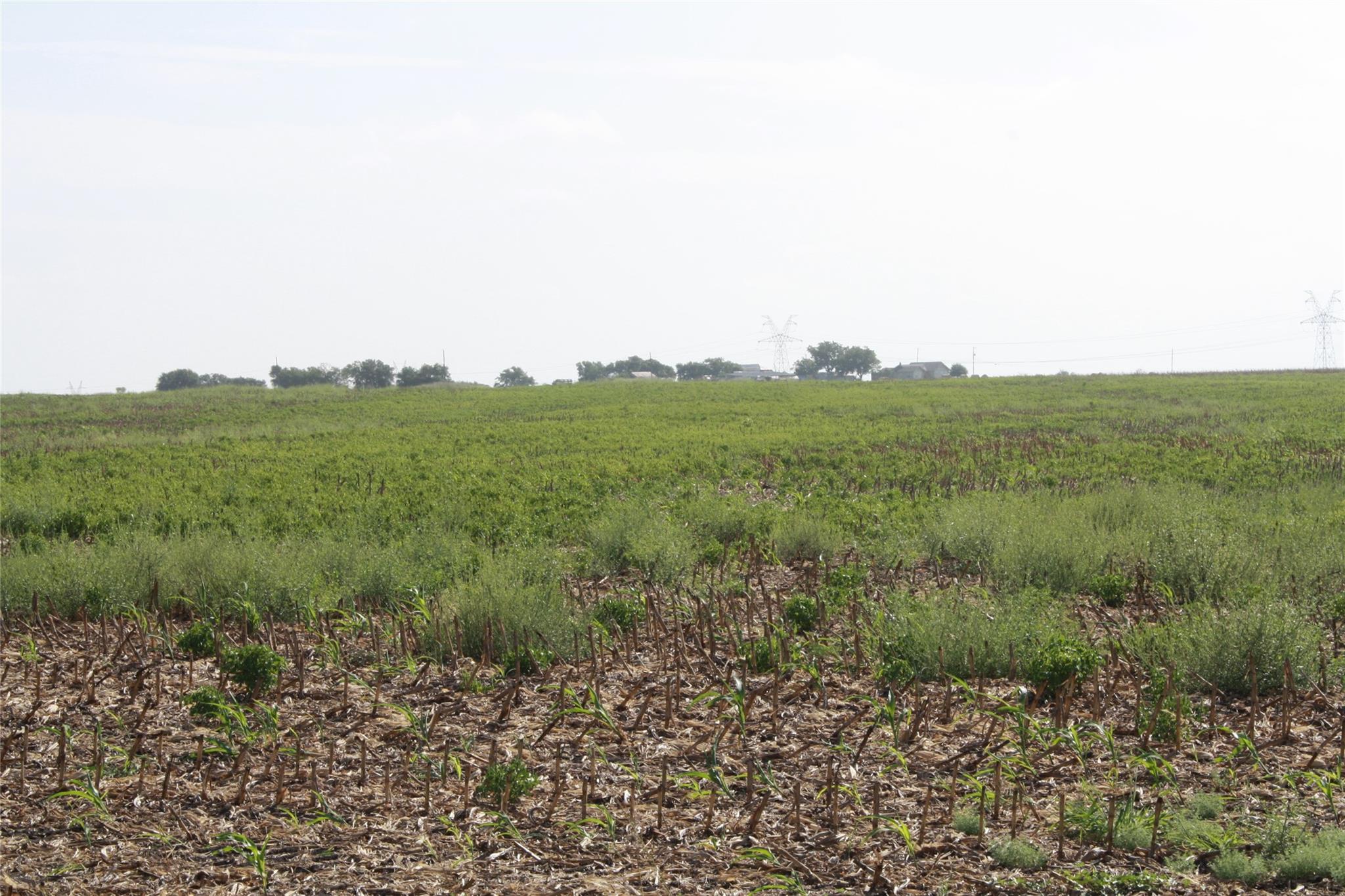 Tbd Gooseneck Road Bartlett TX 76511