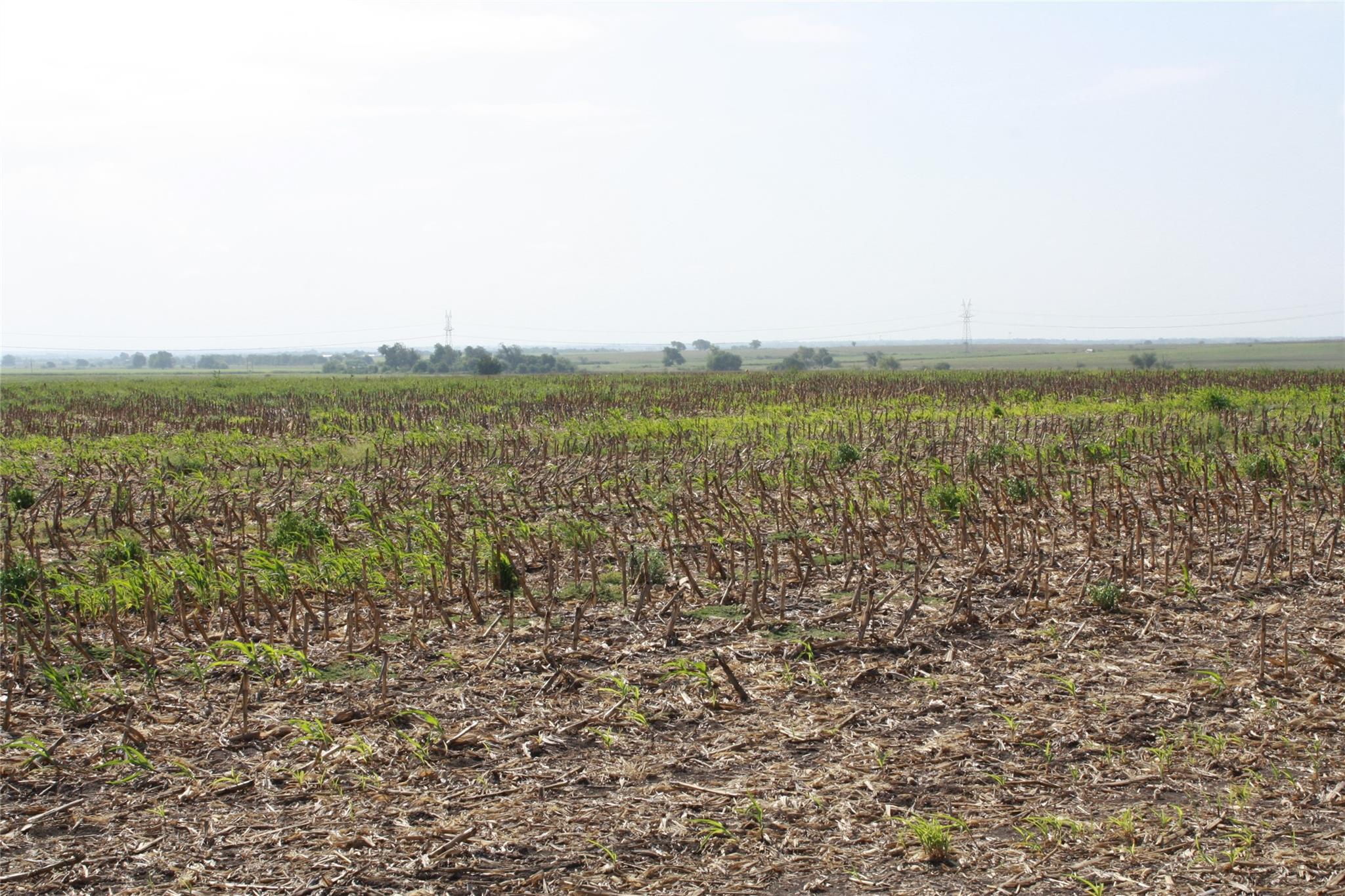 Tbd Gooseneck Road Bartlett TX 76511