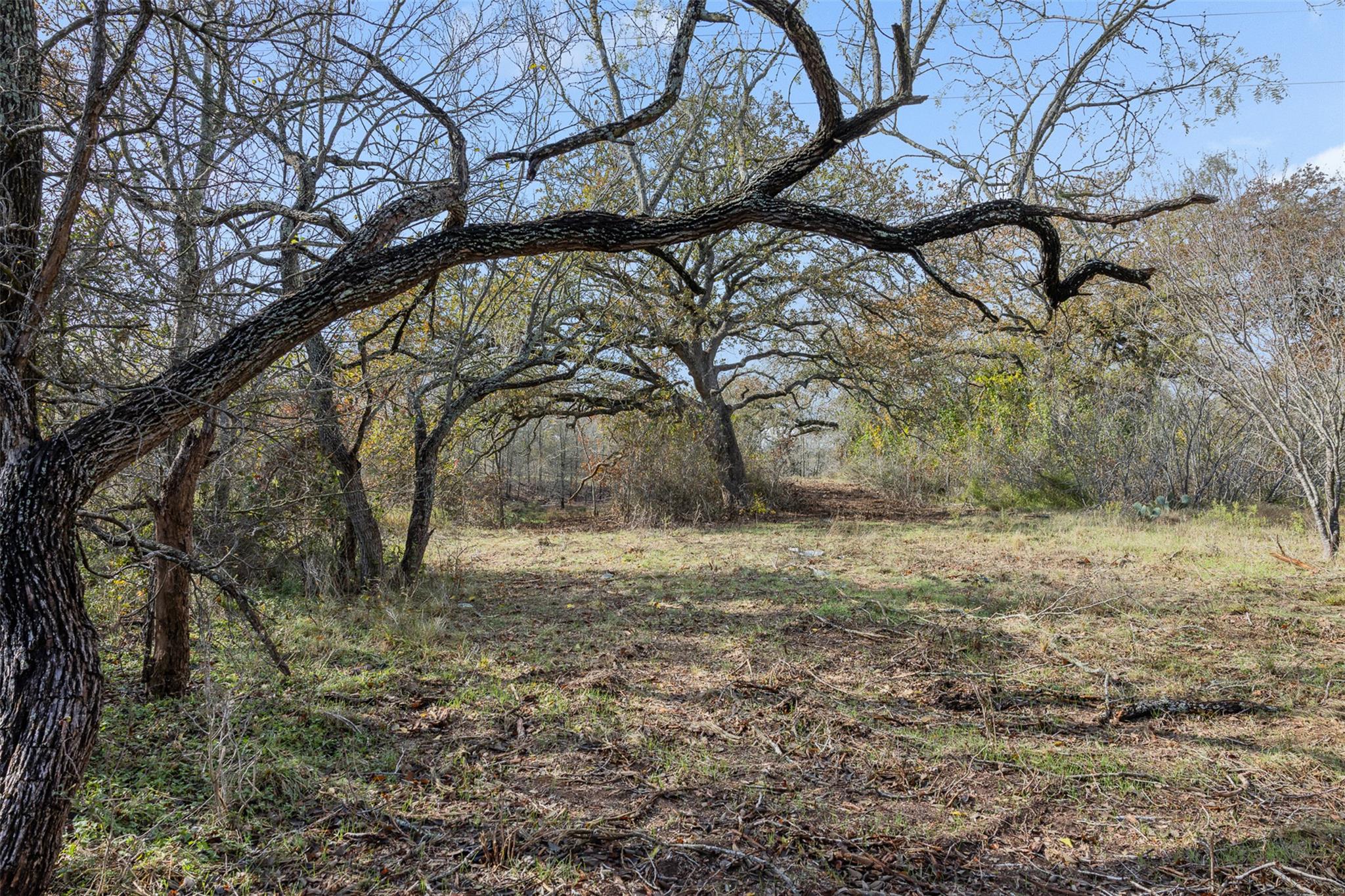 1088 Bugtussle Lane Luling TX 78648