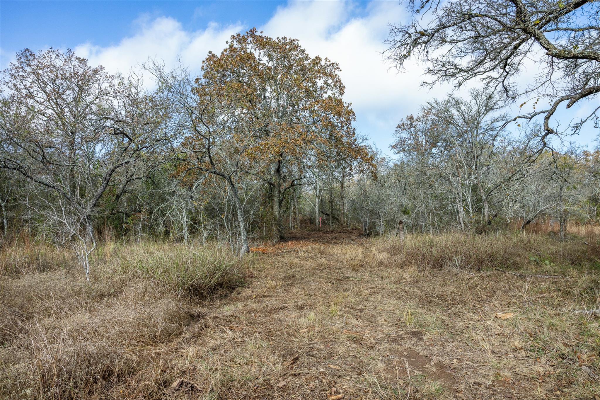 1088 Bugtussle Lane Luling TX 78648