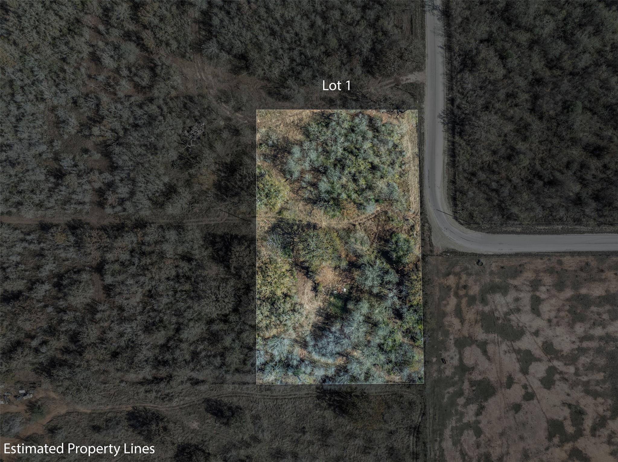 1088 Bugtussle Lane Luling TX 78648