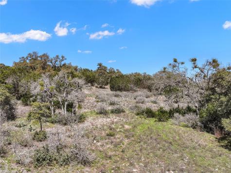 198 Lily Street Spring Branch TX 78070