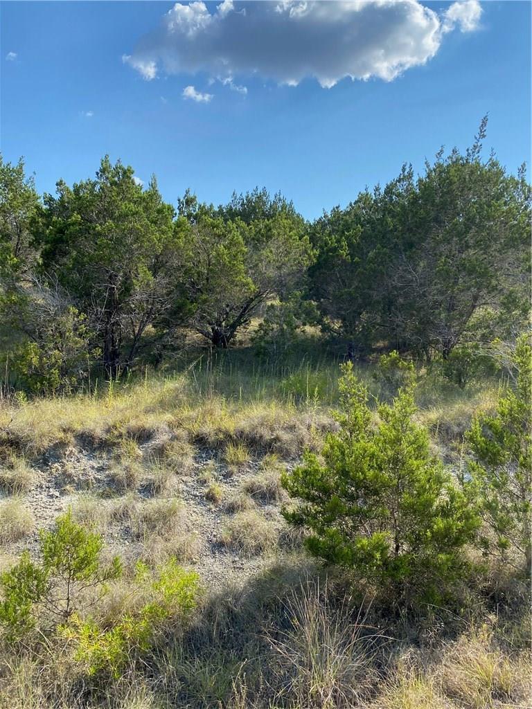 8711 Tepee Cove Lago Vista TX 78645