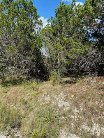8711 Tepee Cove Lago Vista TX 78645