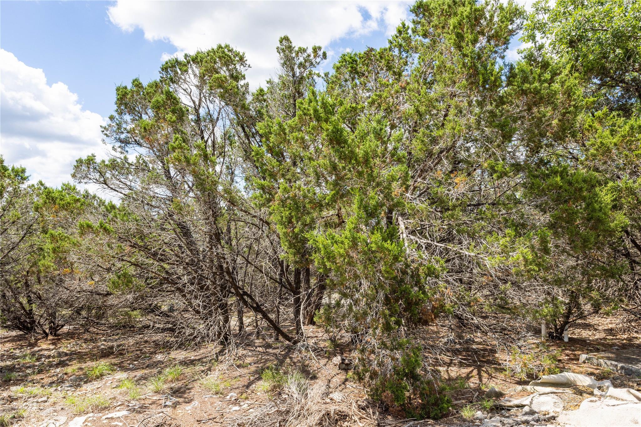 27 Sitting Bull Road Wimberley TX 78676