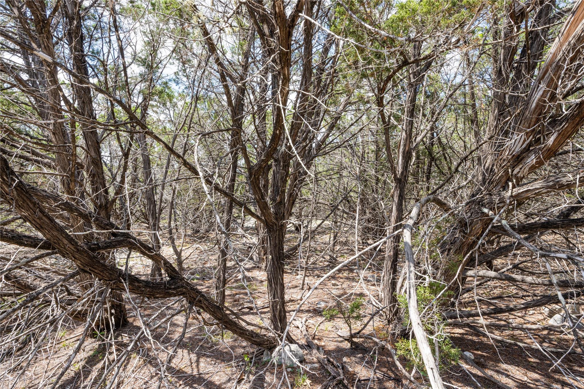 27 Sitting Bull Road Wimberley TX 78676