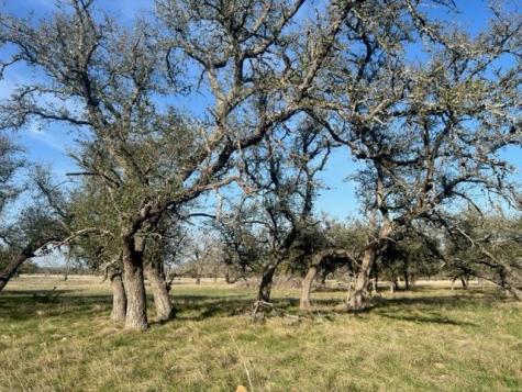 Lot 72 Fallow Drive Harper TX 78631