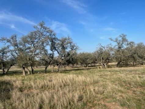 Lot 72 Fallow Drive Harper TX 78631