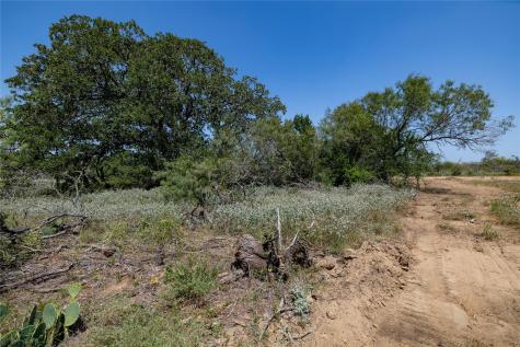 122 Tumbleweed Trail Dale TX 78616