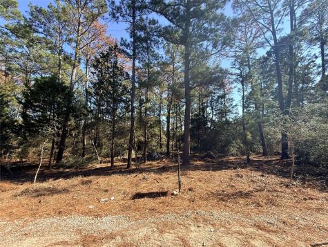 Lot 59 S. Hill Ridge Road Bastrop TX 78602