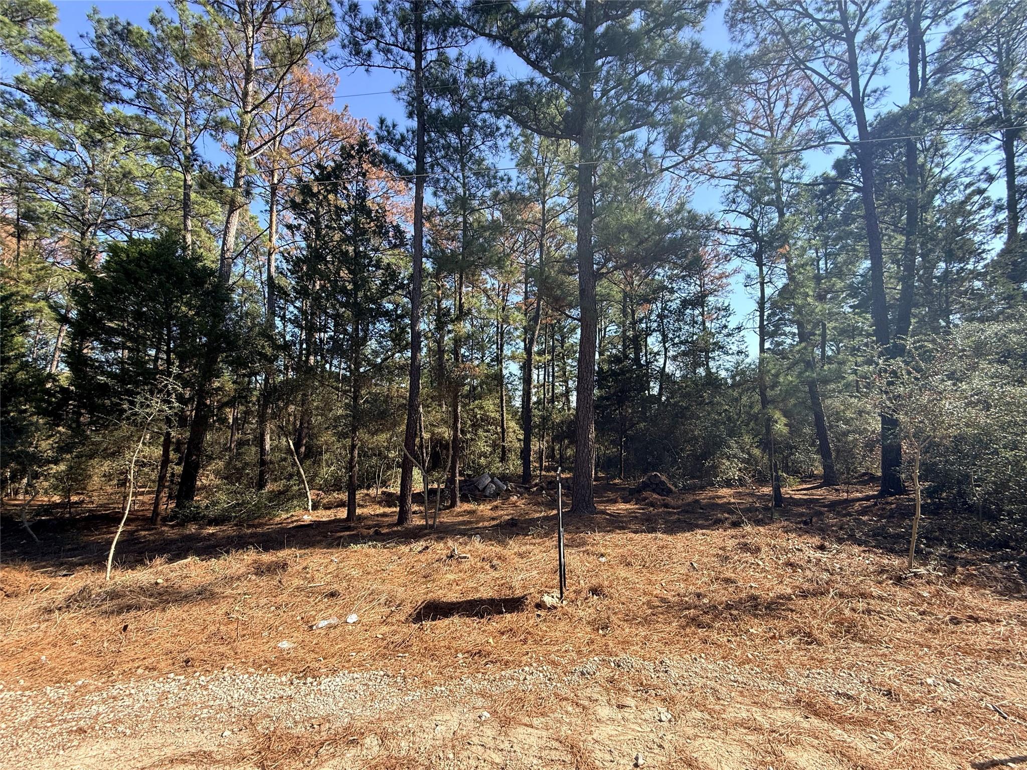 Lot 59 S. Hill Ridge Road Bastrop TX 78602