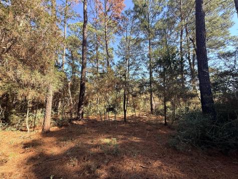 Lot 59 S. Hill Ridge Road Bastrop TX 78602