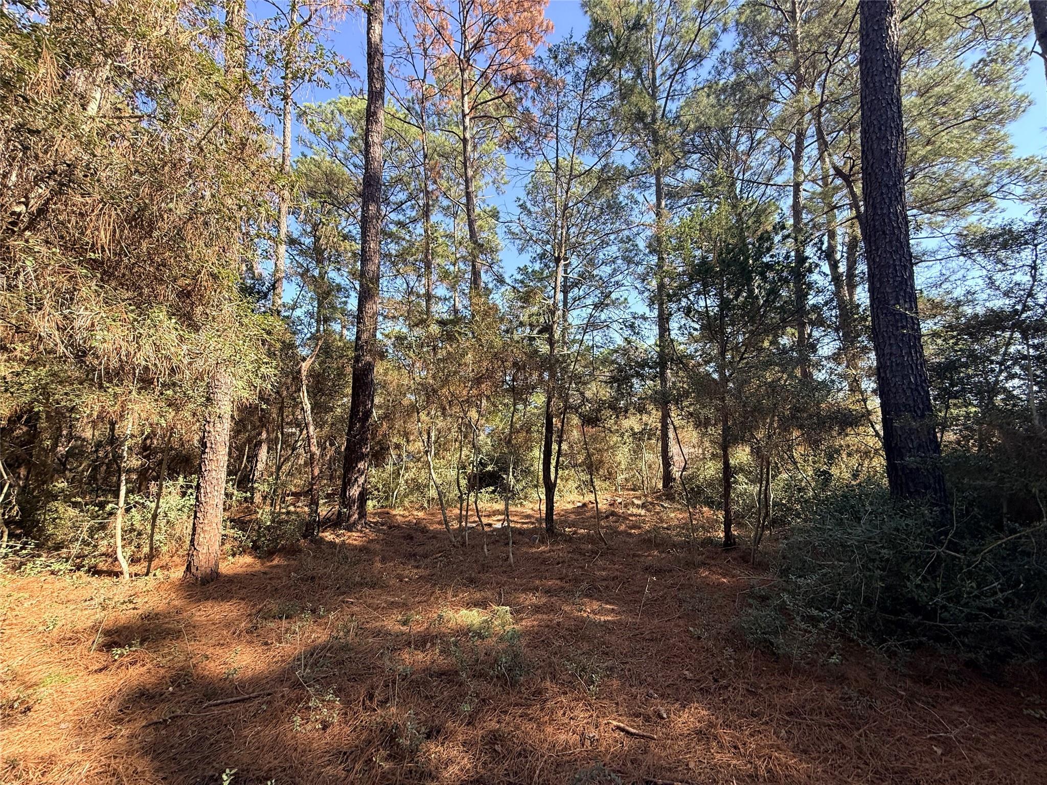 Lot 59 S. Hill Ridge Road Bastrop TX 78602