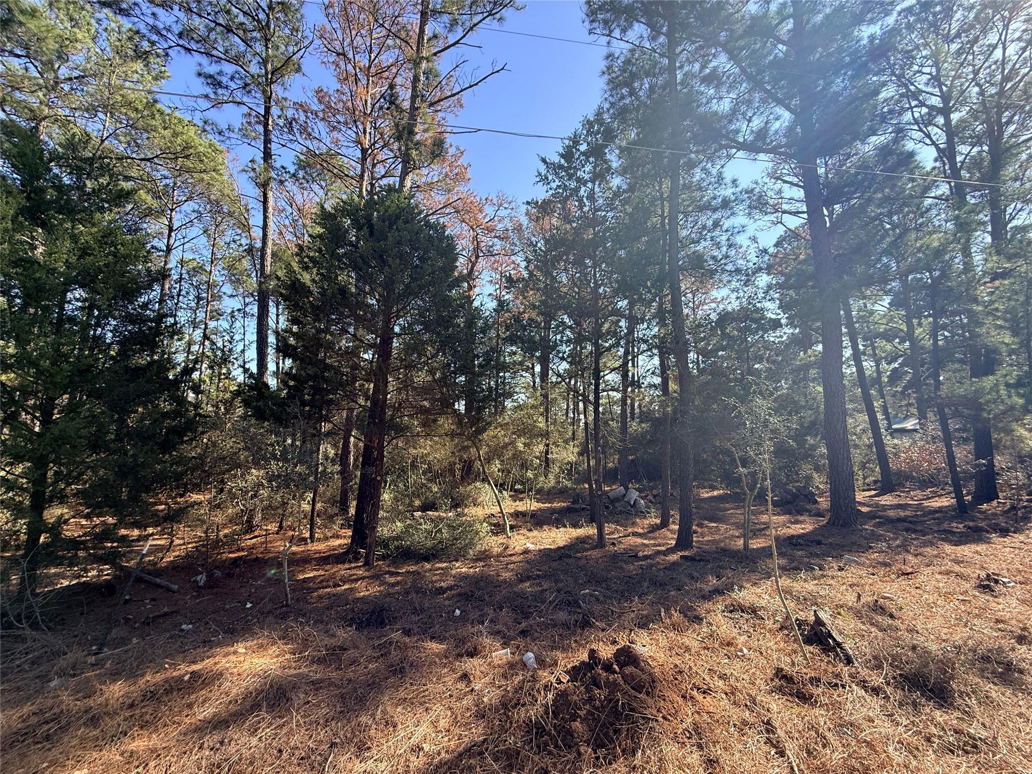 Lot 59 S. Hill Ridge Road Bastrop TX 78602
