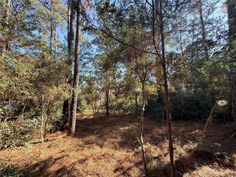 Lot 59 S. Hill Ridge Road Bastrop TX 78602