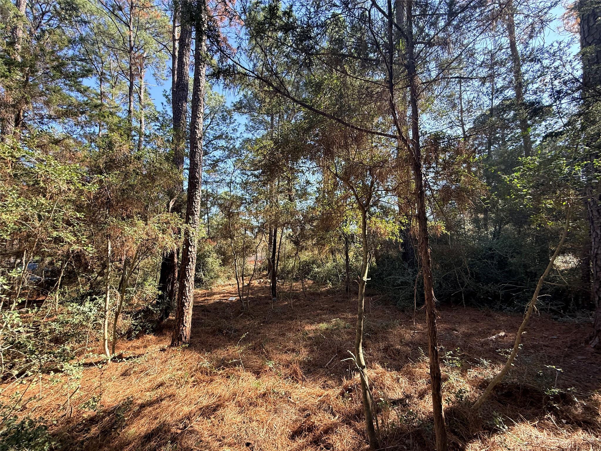 Lot 59 S. Hill Ridge Road Bastrop TX 78602