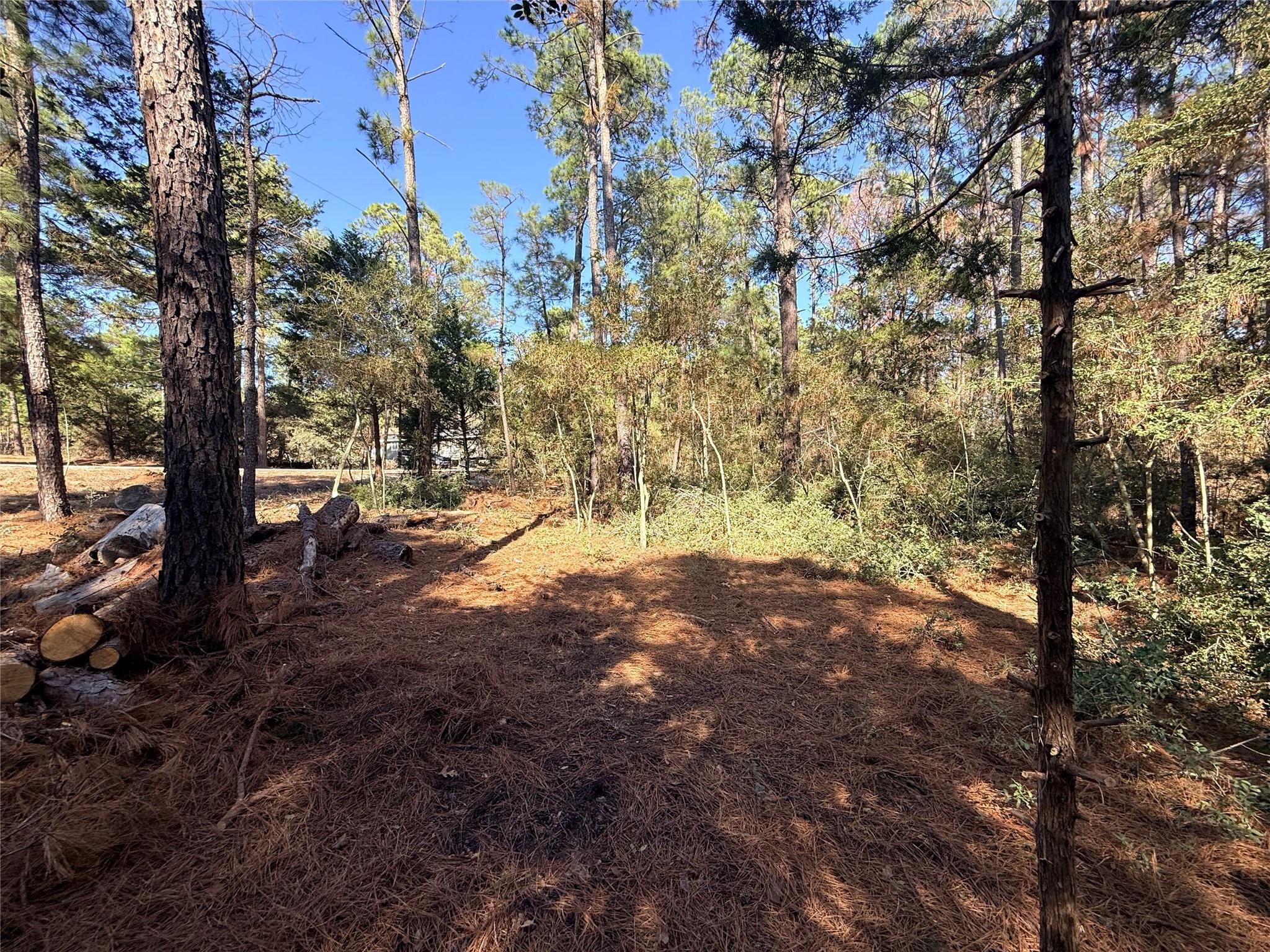 Lot 59 S. Hill Ridge Road Bastrop TX 78602