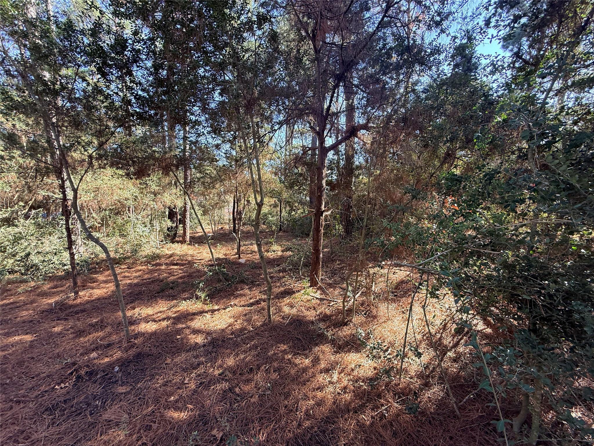 Lot 59 S. Hill Ridge Road Bastrop TX 78602