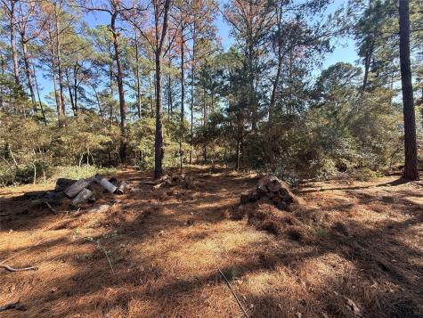 Lot 59 S. Hill Ridge Road Bastrop TX 78602