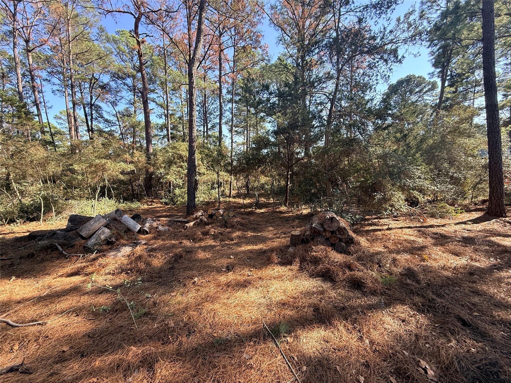 Lot 59 S. Hill Ridge Road Bastrop TX 78602