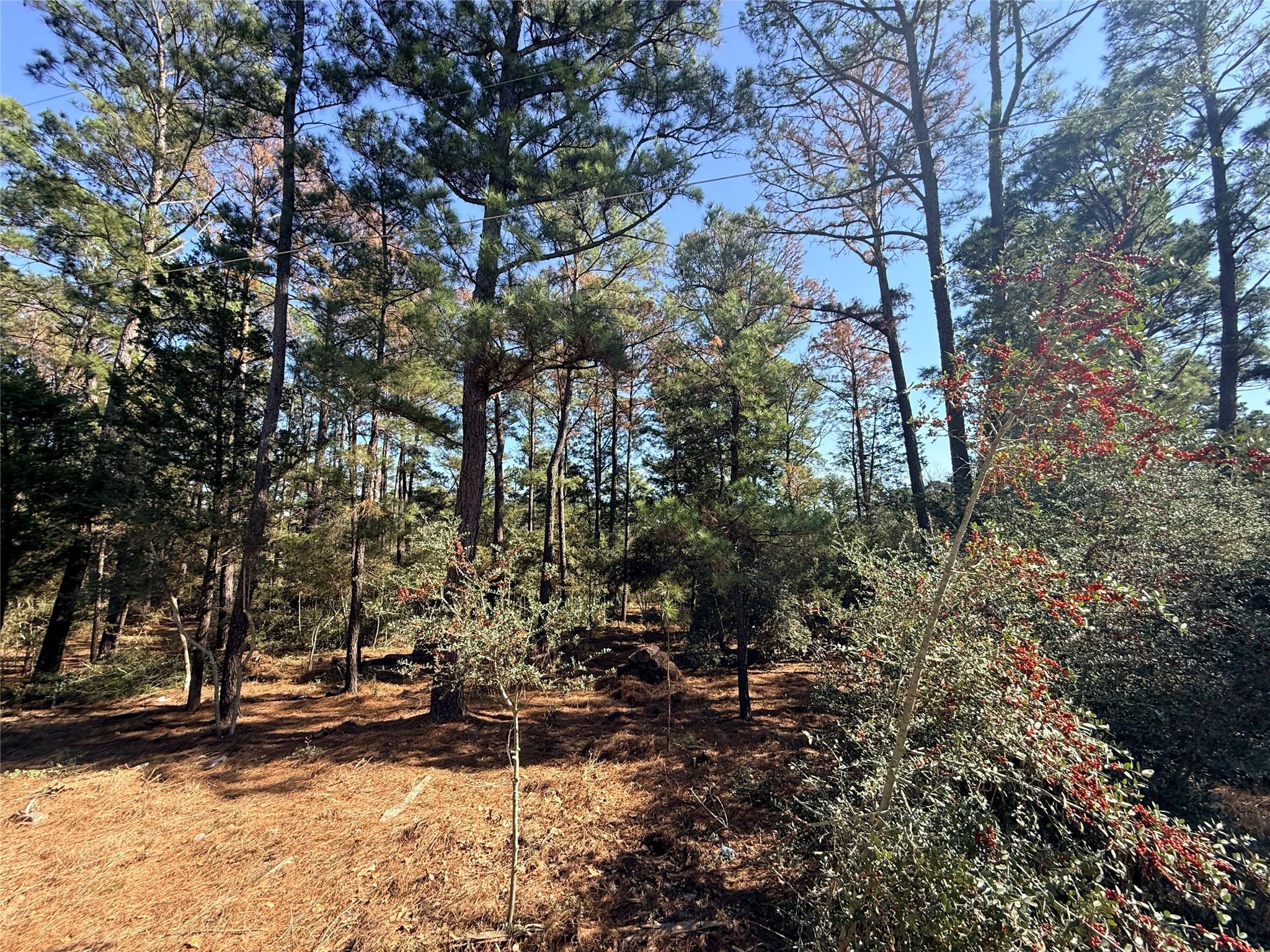 Lot 59 S. Hill Ridge Road Bastrop TX 78602