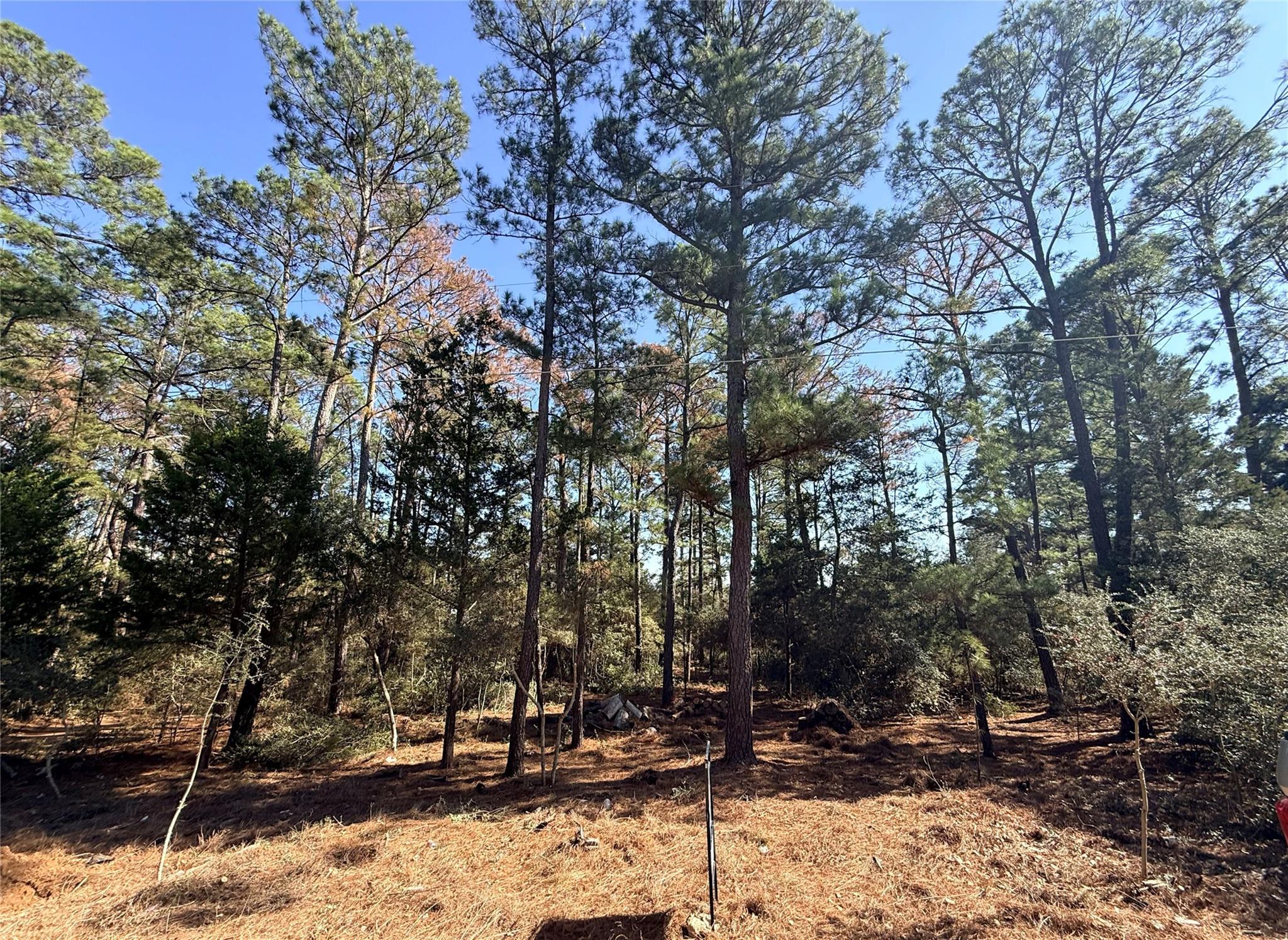 Lot 59 S. Hill Ridge Road Bastrop TX 78602