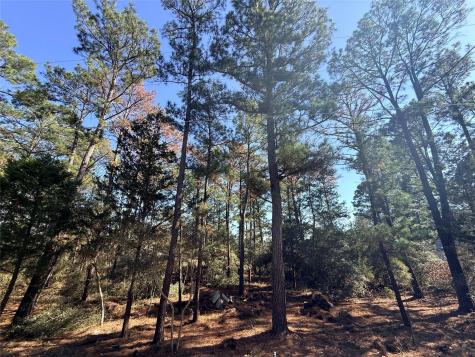 Lot 59 S. Hill Ridge Road Bastrop TX 78602