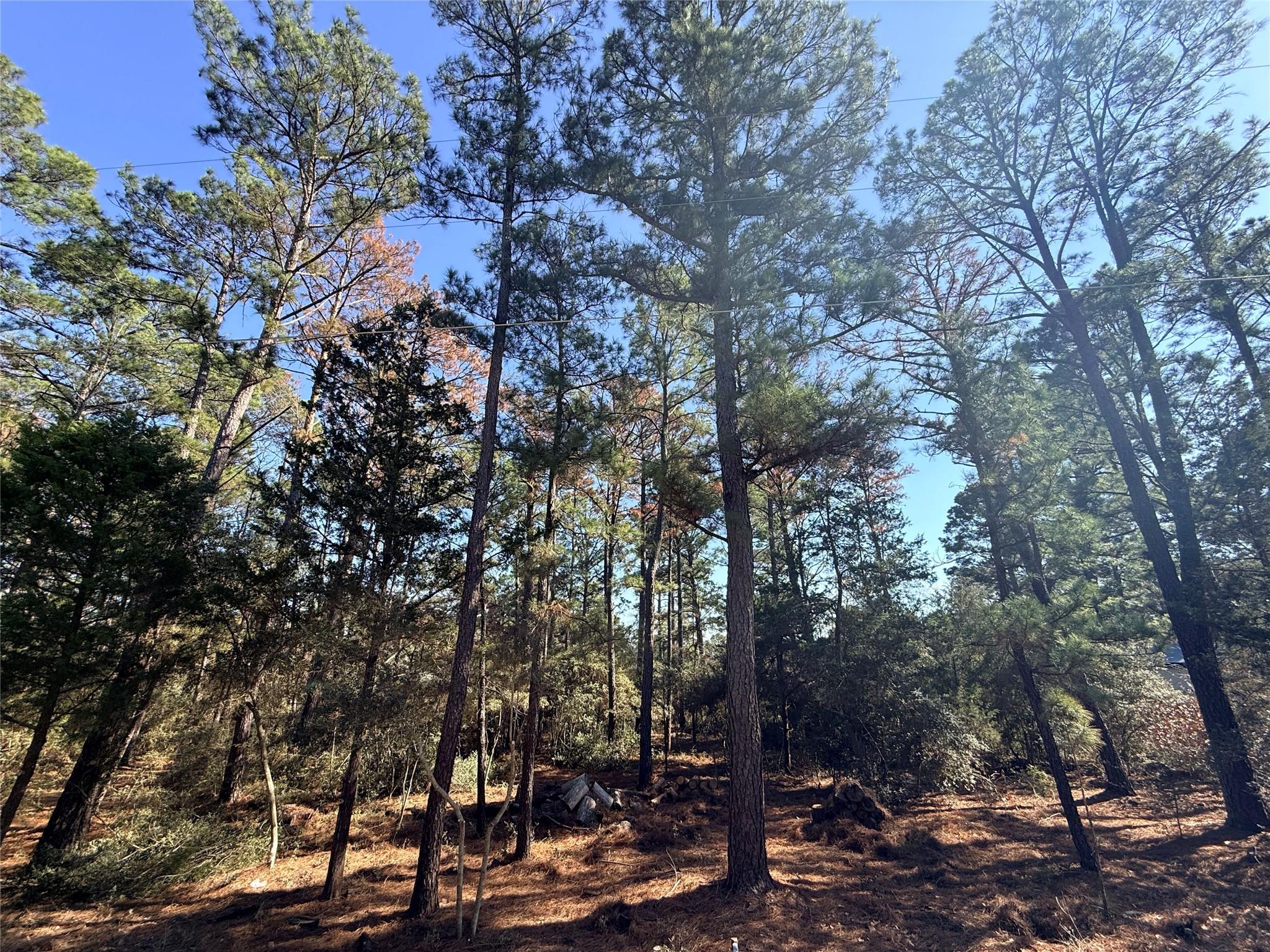 Lot 59 S. Hill Ridge Road Bastrop TX 78602