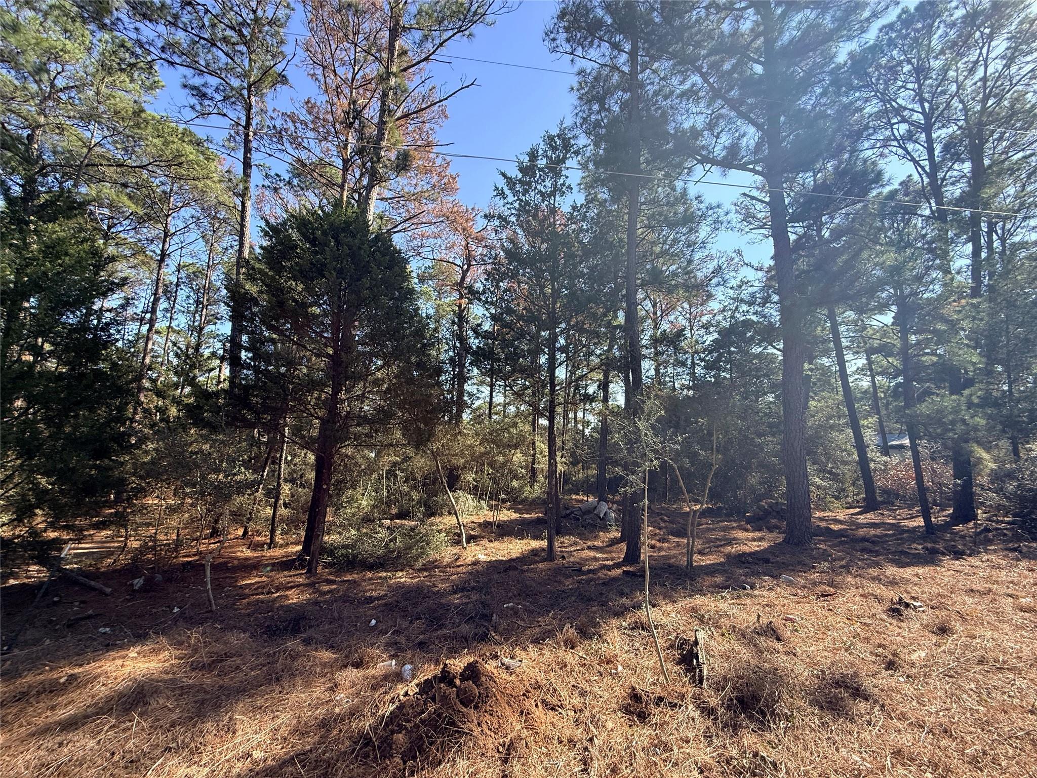 Lot 59 S. Hill Ridge Road Bastrop TX 78602