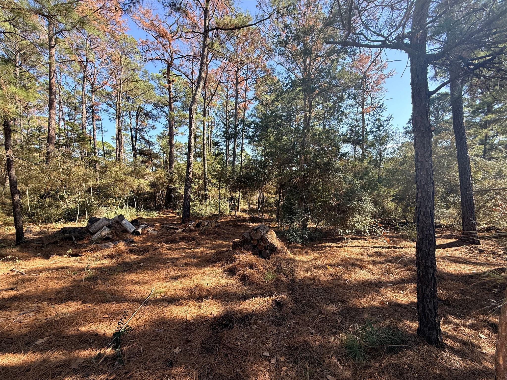 Lot 59 S. Hill Ridge Road Bastrop TX 78602